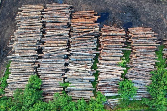 sawmill lumber for free firewood